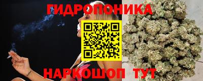 ALPHA PVP Кинель