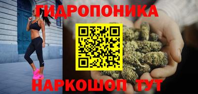 соль ск Кингисепп