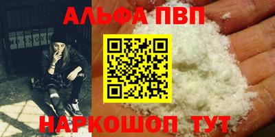 соль ск Кингисепп