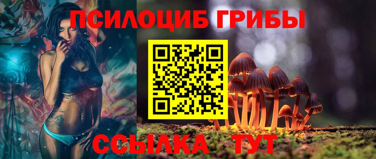 Псилоцибиновые грибы GOLDEN TEACHER  Псилоцибиновые грибы мухоморы  наркошоп  Вход с VPN  Кстово 