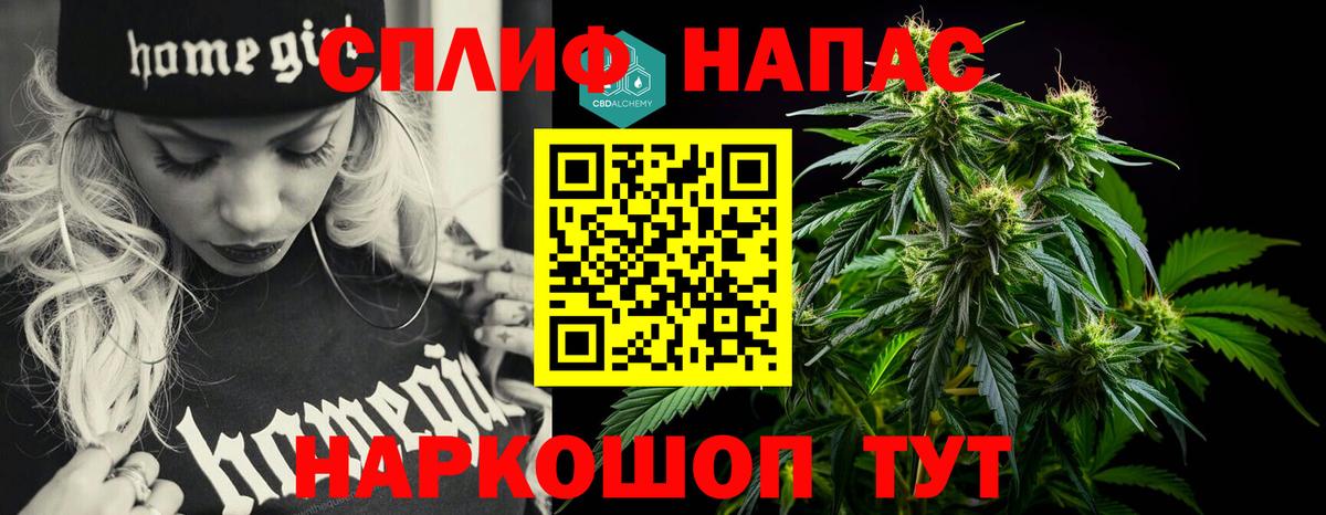 Каннабис OG Kush  Вход с VPN  Конопля семена  МАРИХУАНА конопля  Кстово 